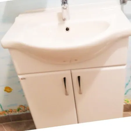 Studio Ibis